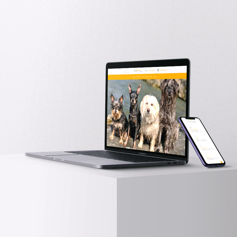 Web Design Diessen am Ammersee design-senses